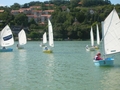 DSCN4135