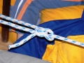P1050990