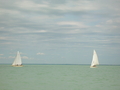DSCN0694