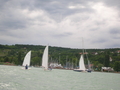 DSCN0736