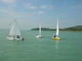 DSCN1346