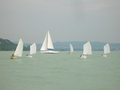 DSCN1456