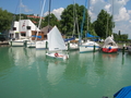 DSCN1498