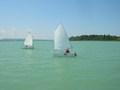DSCN1510