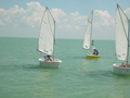 DSCN1516