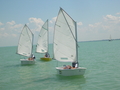 DSCN1517