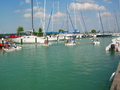 DSCN2238