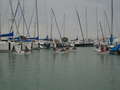 DSCN2486