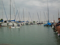 DSCN2491
