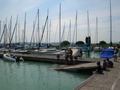 DSCN2508