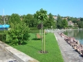 foto_kikoto-10n