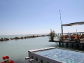 thesail_kikoto_02