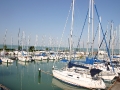 thesail_kikoto_10