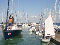 thesail_kikoto_11