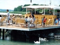 The bar