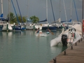 DSCN5632