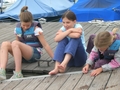 DSCN5662
