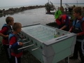 DSCN5668